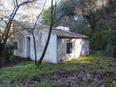 Ферма в Сетубал