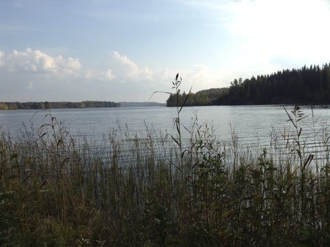 Земельный участок в Симпеле