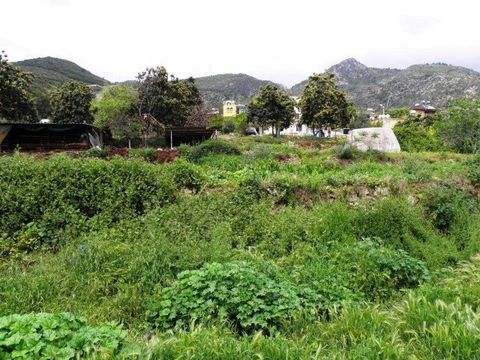 Земельный участок в Алания