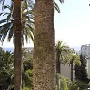 Вилла в Сан-Ремо, фото 2