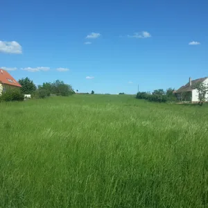Земельный участок в Кестхей, фото 3