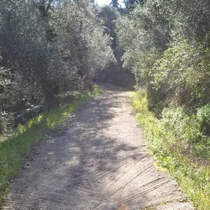 Земельный участок в Corfu, фото 2