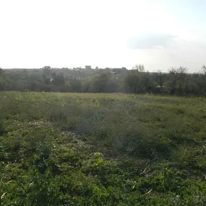 Дом в Бухарест, фото 4