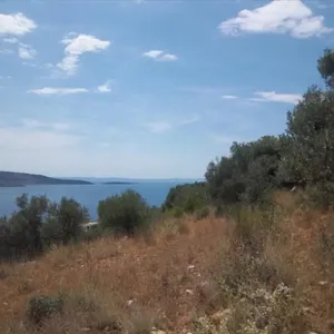 Земельный участок в Сивота, фото 4
