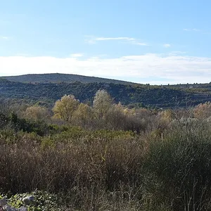 Земельный участок в Котор, фото 2