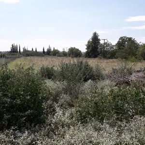 Земельный участок в Терми, фото 3