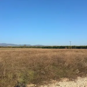 Земельный участок в Ситониа, фото 3