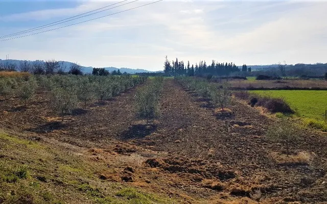 Земельный участок в Kassandra Municipality