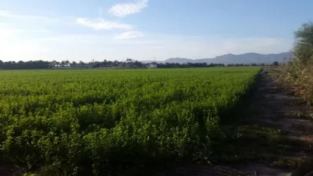 Земельный участок в Катраль