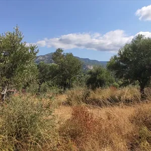 Земельный участок в Ситониа, фото 4