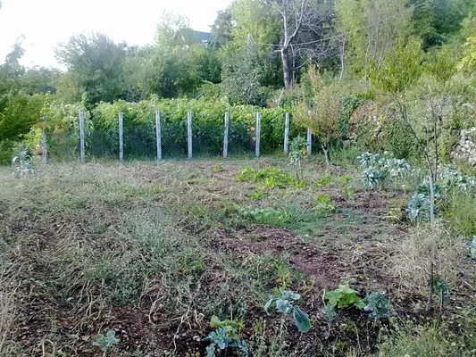 Земельный участок в Каменово  