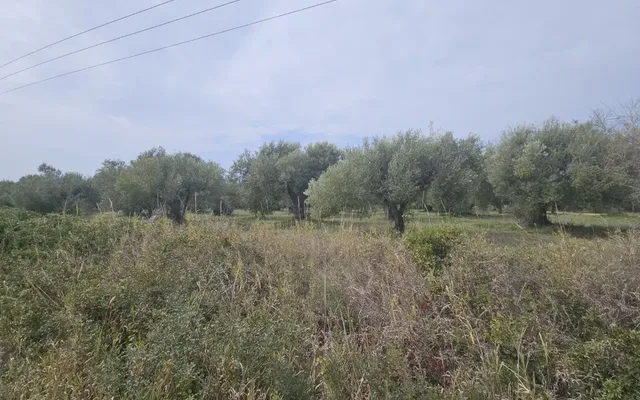 Земельный участок в Kassandra Municipality