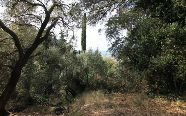 Земельный участок в Corfu