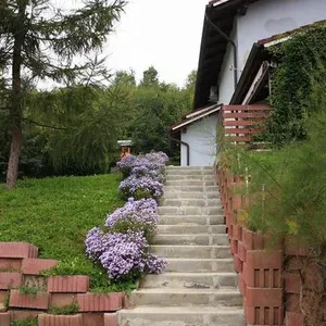 Дом в Марибор, фото 4