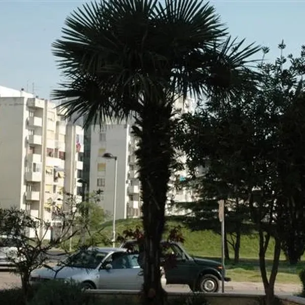 Квартира в Бар, фото 1
