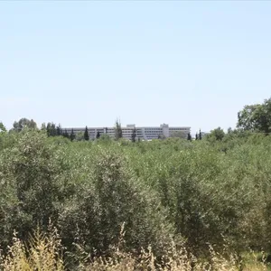 Земельный участок в Ситониа, фото 4