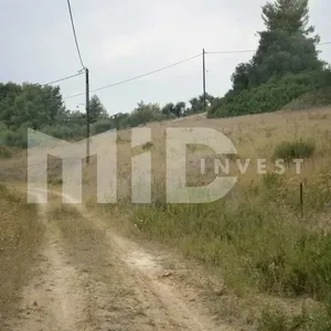 Земельный участок в Каллифея (Кассандра), фото 3