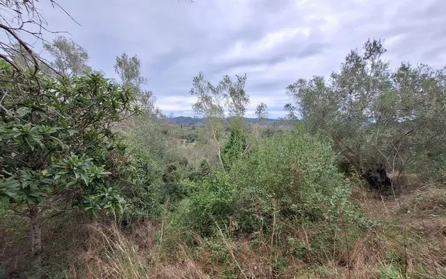 Земельный участок в Corfu
