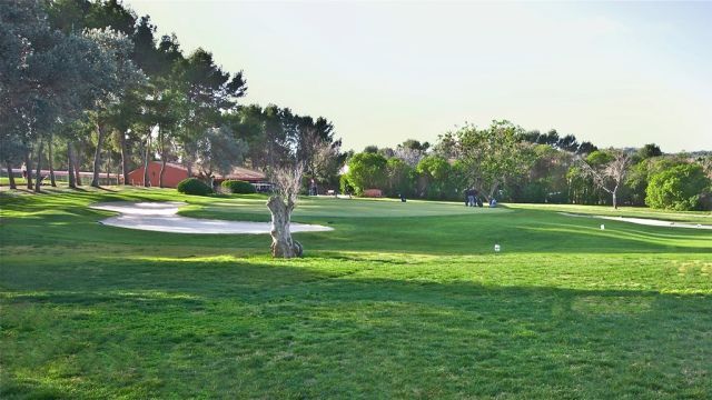 Земельный участок в Санта-Понса