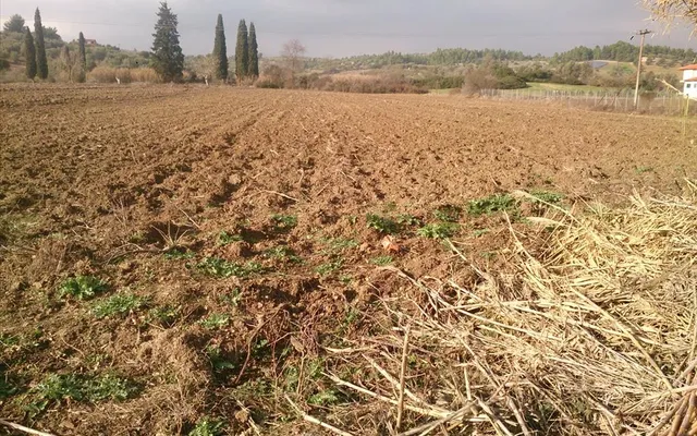 Земельный участок в Kassandra Municipality