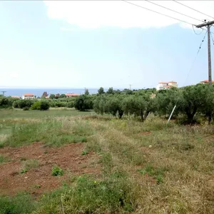 Земельный участок в Ситониа, фото 4