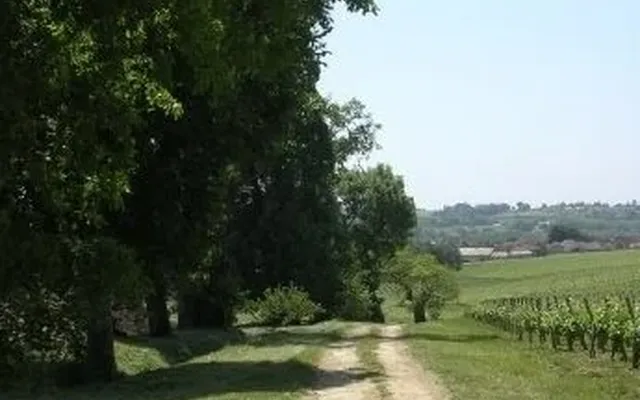 Замок в Бордо