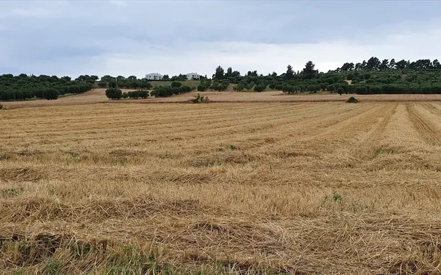 Земельный участок в Kassandra Municipality
