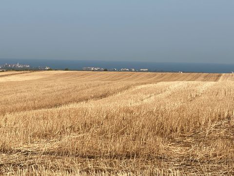 Земельный участок в Каблешково