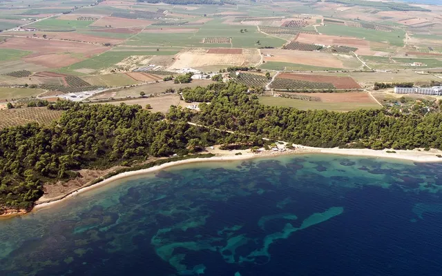 Земельный участок в Kassandra Municipality