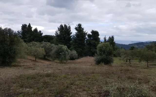 Земельный участок в Kassandra Municipality