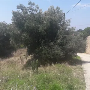 Земельный участок в Ситониа, фото 4