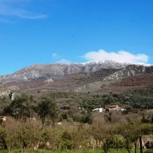 Земельный участок в Бар, фото 5