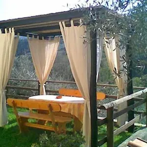 Отдельный дом в Капаннори, фото 4
