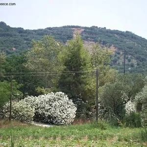 Земельный участок в Афины, фото 3