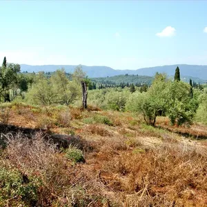 Земельный участок в Corfu, фото 4