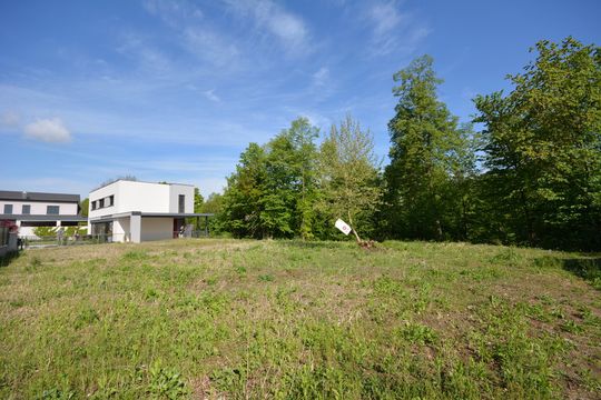 Земельный участок в Шишка