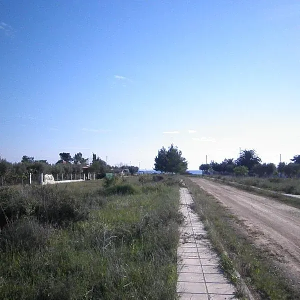 Отдельный дом в Халкидики, фото 2