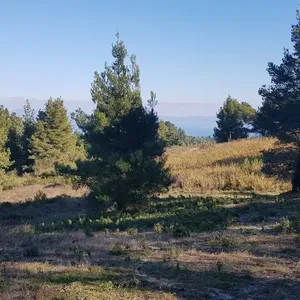 Земельный участок в Kassandra Municipality, фото 2
