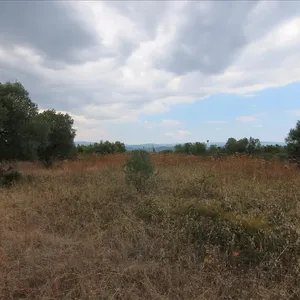 Земельный участок в Ситониа, фото 4