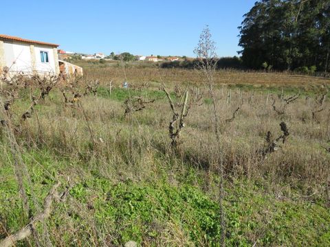 Земельный участок в Алкобаса