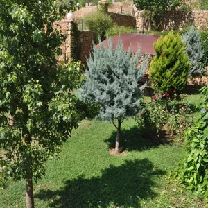 Квартира в Алания, фото 4
