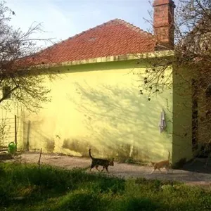 Отдельный дом в Доброта, фото 4