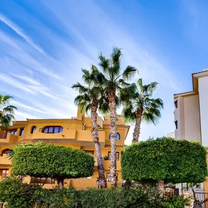 Квартира в Пунта Прима, фото 2