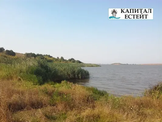 Земельный участок в Димчево