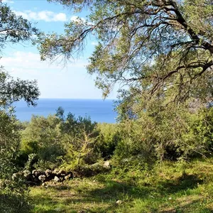 Земельный участок в Corfu, фото 2