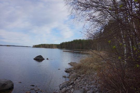 Земельный участок в Руоколахти