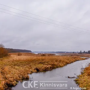 Земельный участок в Савиметса, фото 4