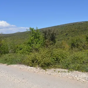 Земельный участок в Бигова, фото 4