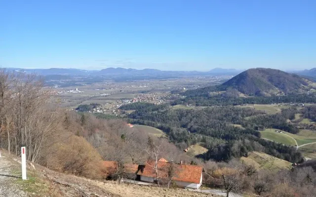 Ферма в Целе
