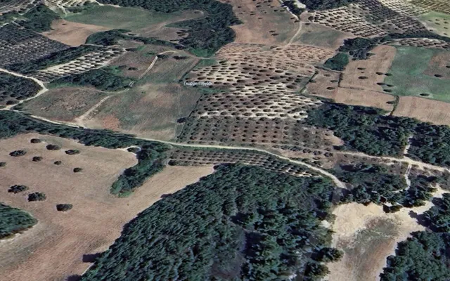 Земельный участок в Kassandra Municipality